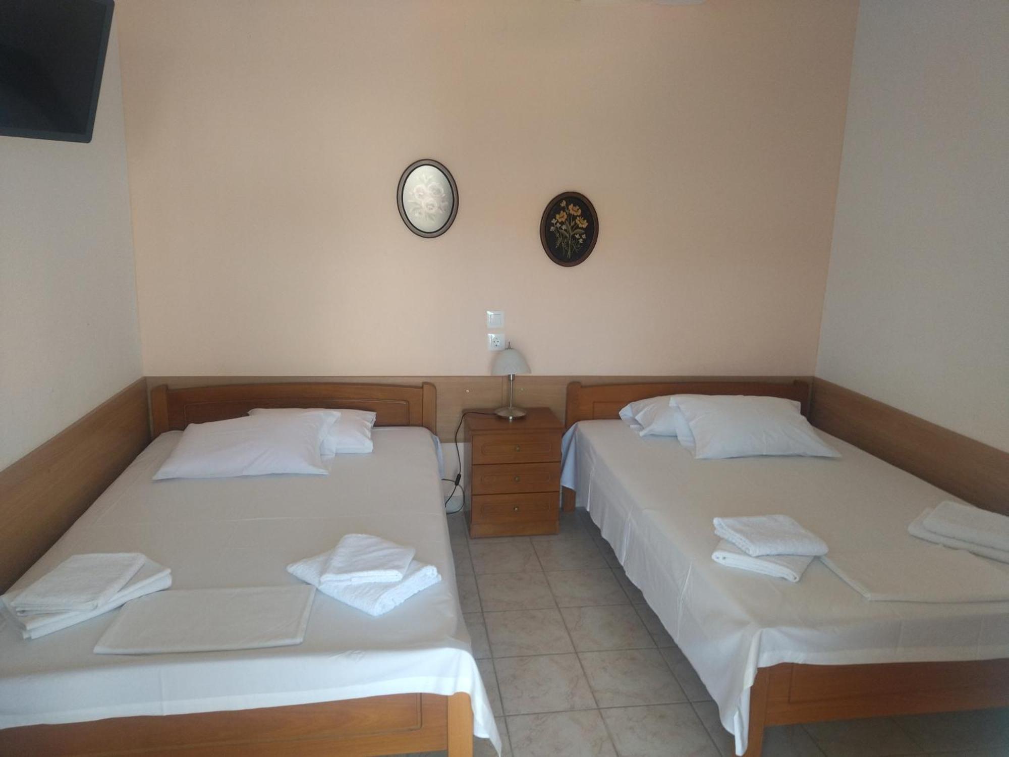 Polistilo Spiti *